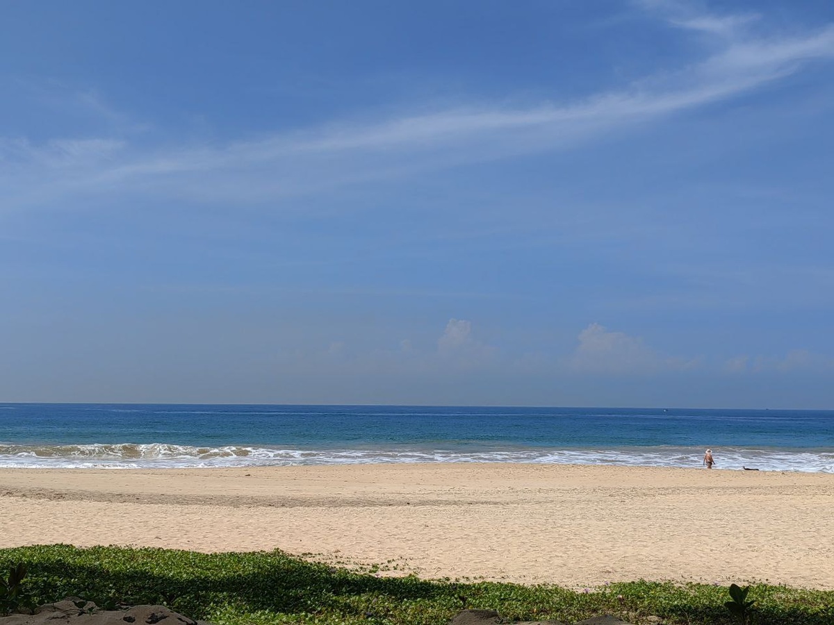 Ради такого вида и полмира пролететь не жалко!