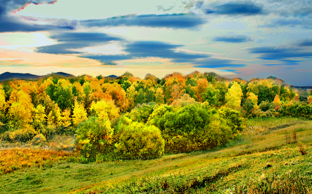 Фотография, стихотворение Василия Глуцкого