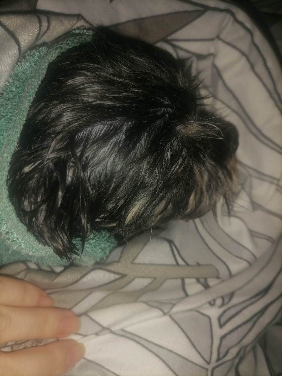 После душа:)