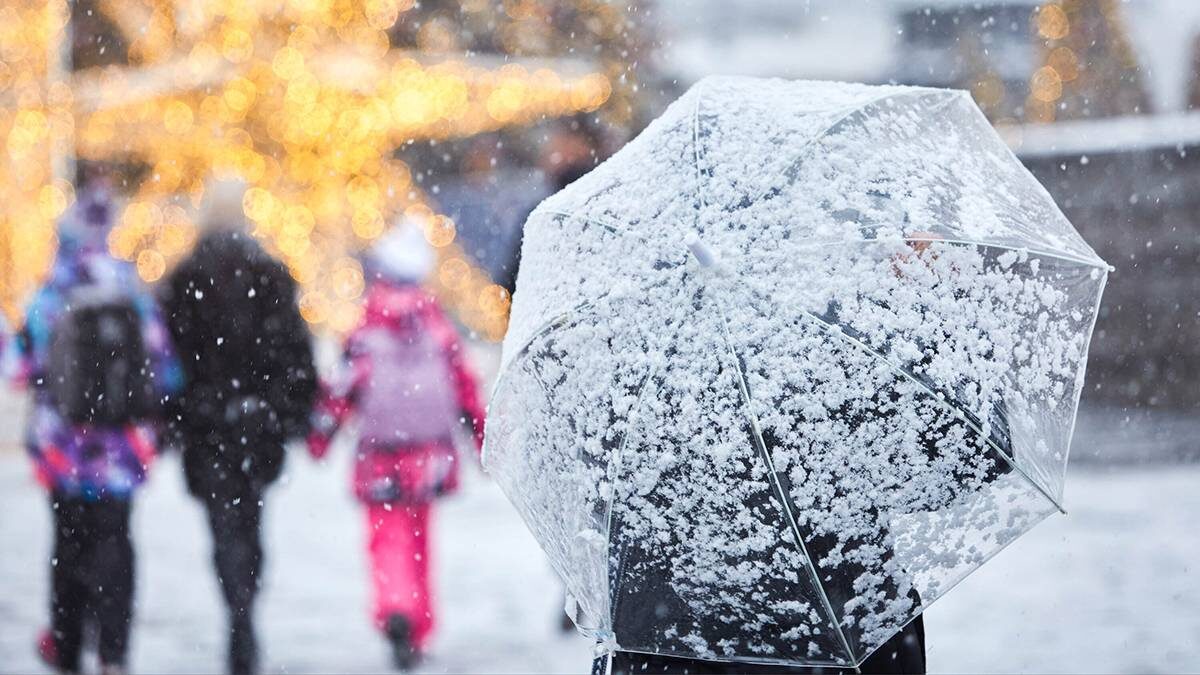    Фото: Дмитрий Белицкий / АГН Москва