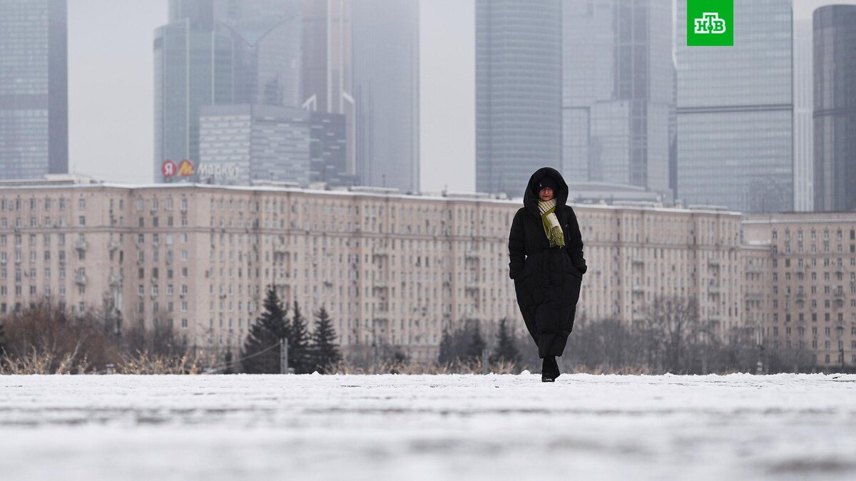    Фото: РИА Новости © 2025, Кирилл Зыков