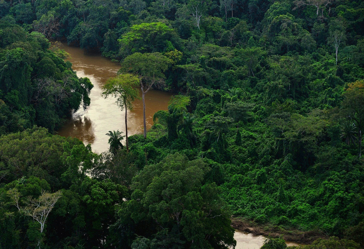 Источник Яндекс картинки