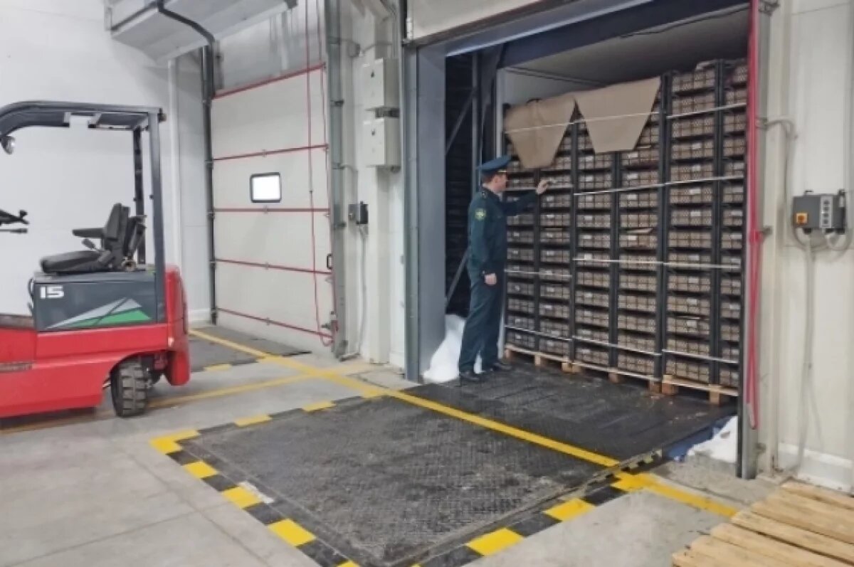    В январе в Новосибирскую область завезли 2 тысячи тонн фруктов и овощей