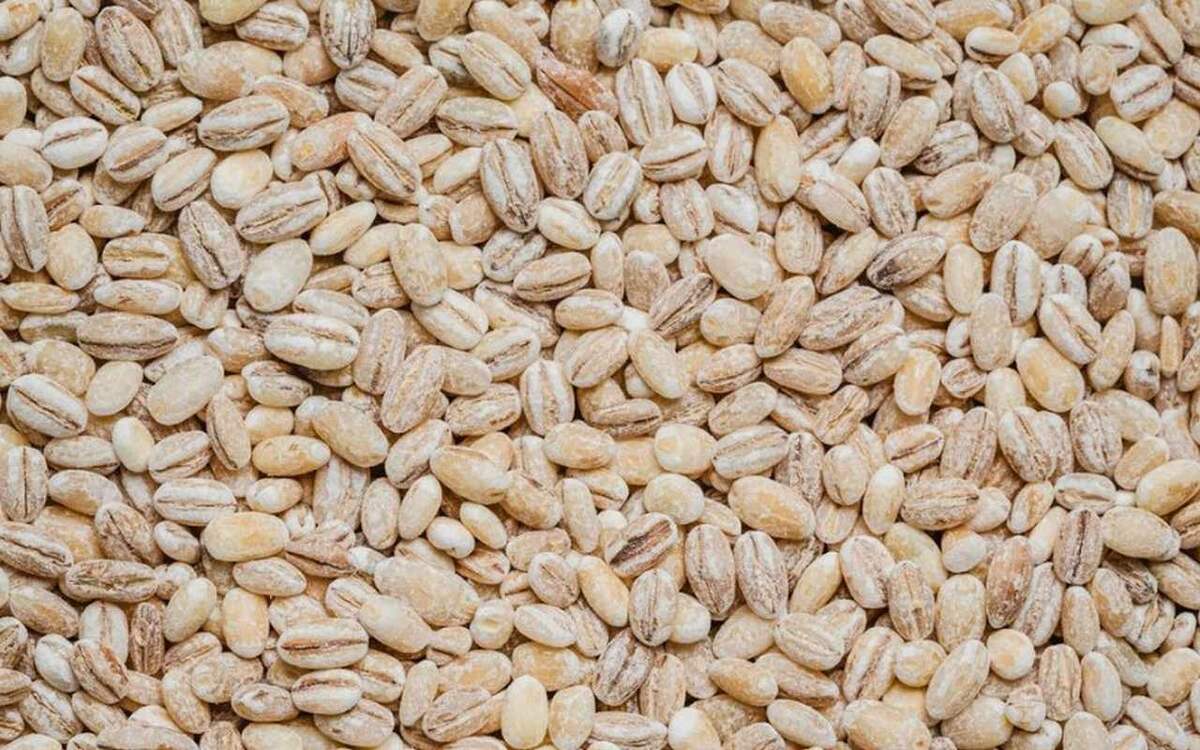    Генпрокуратура забирает «Родные поля»: бизнесмен Петр Ходыкин намерен оспорить решение суда Фото – ru.freepik.com