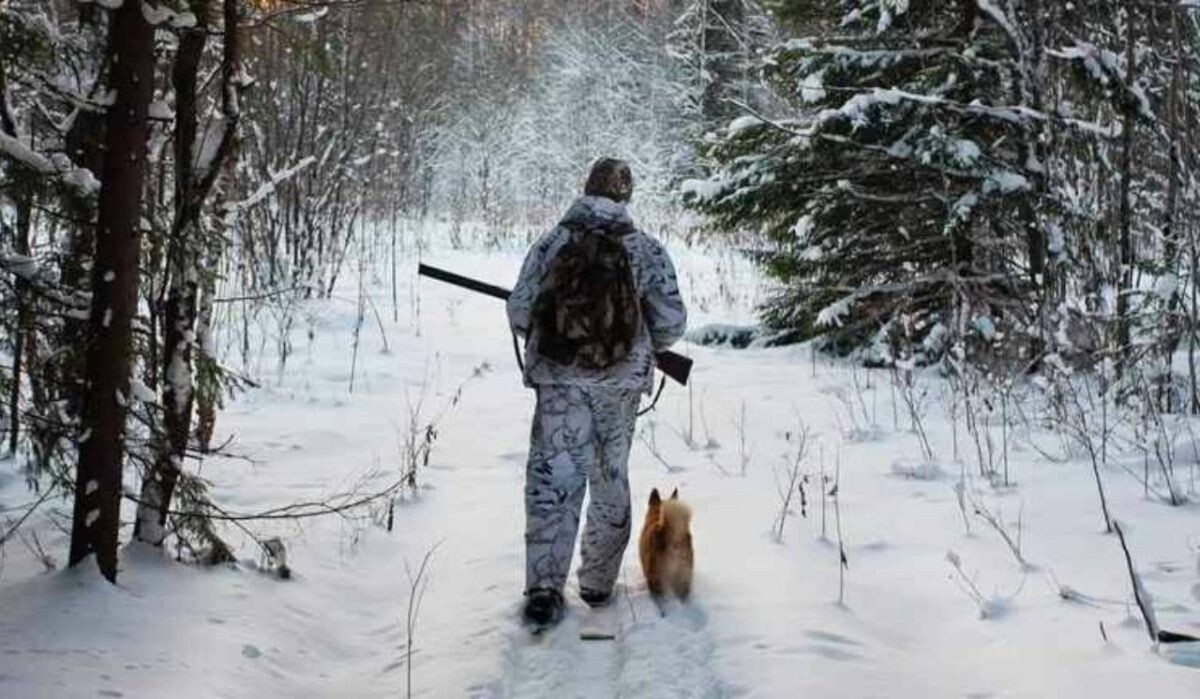     Охотник. Источник: ria.ru Автор фото: RodimovPavel