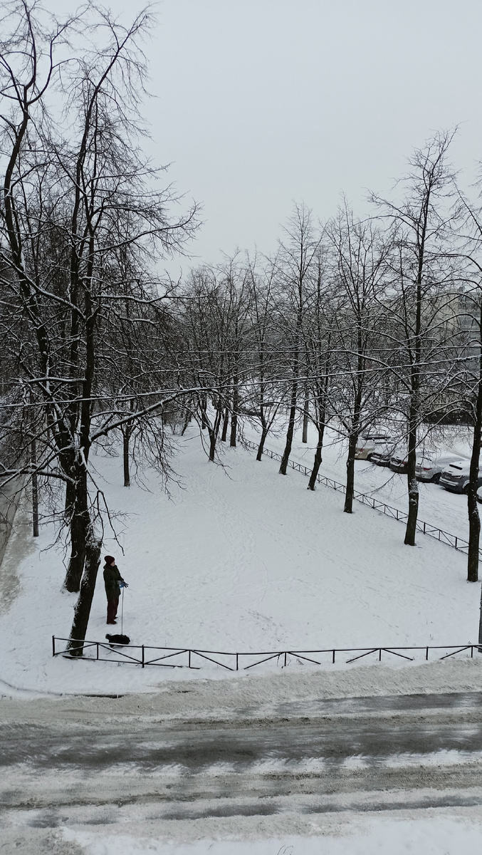 Фото автора. 9.50. СПб.