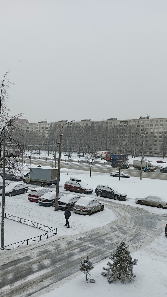 Фото автора. 9.50. СПб.