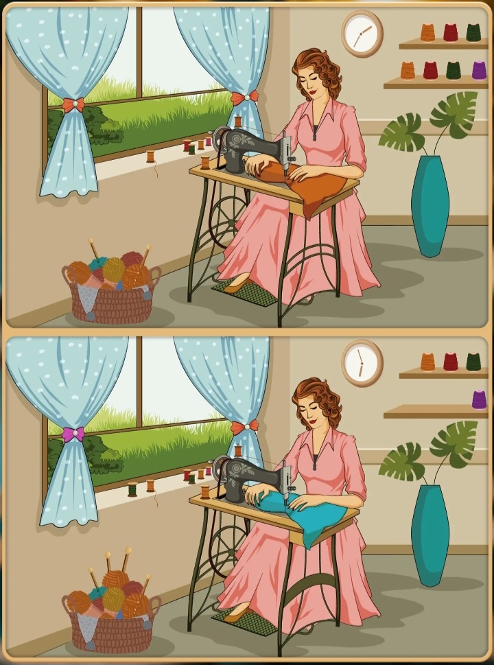 Найди отличия на картинке