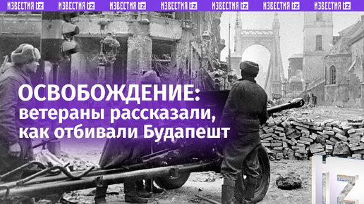 Открытки с медведями доброе утро