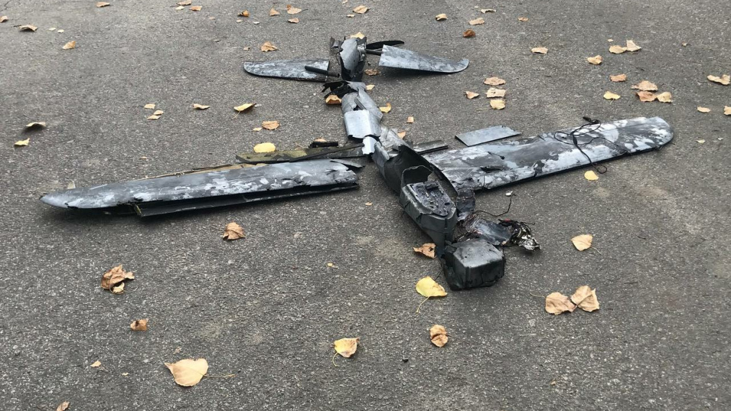    фото: Dmitry Grigoriev/Argumenty i Fakty/Globallookpress