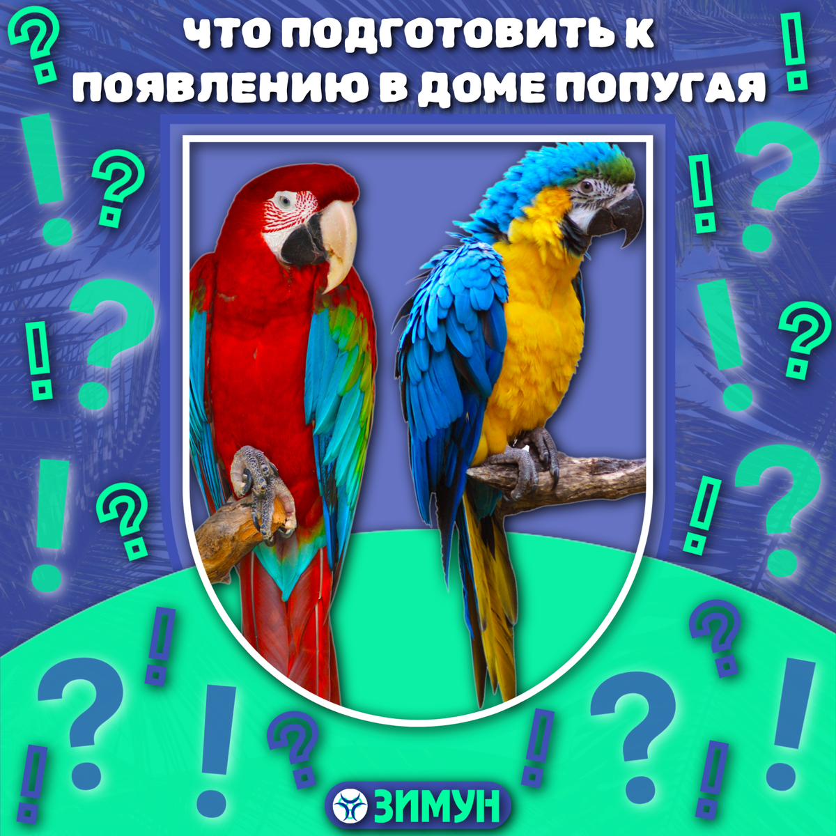 Заставка с попугаями на фоне