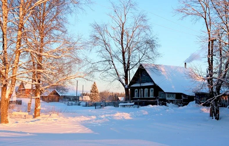 Яндекс картинки