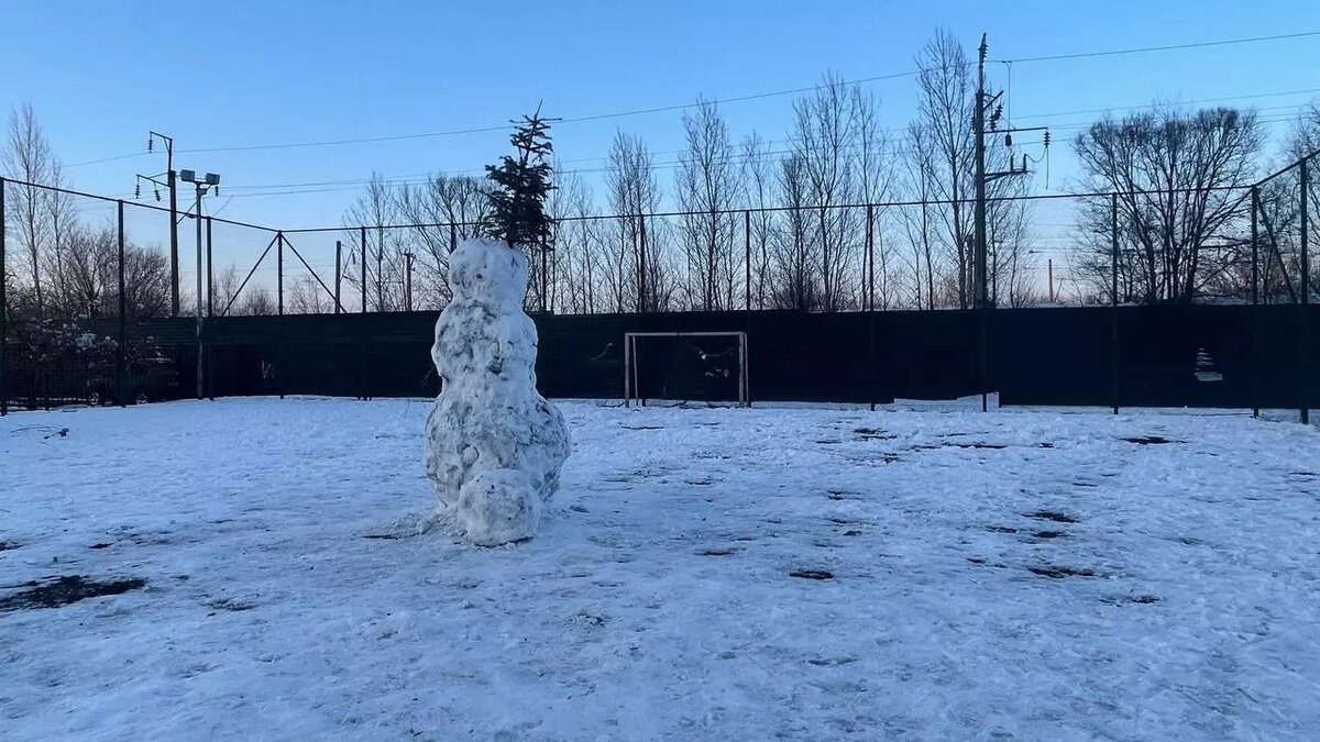     Источник: rostovgazeta.ru