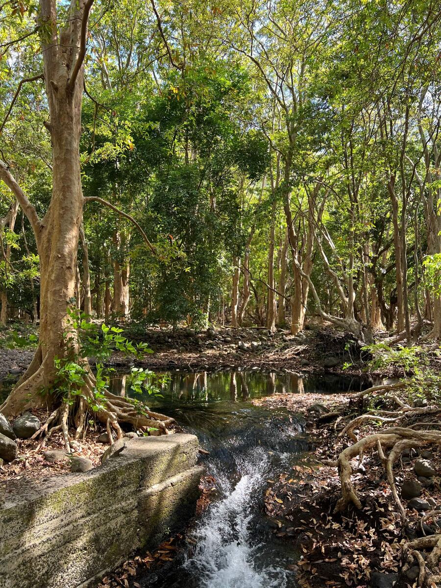    Фото из личного архива Марго Морис Марго Морис