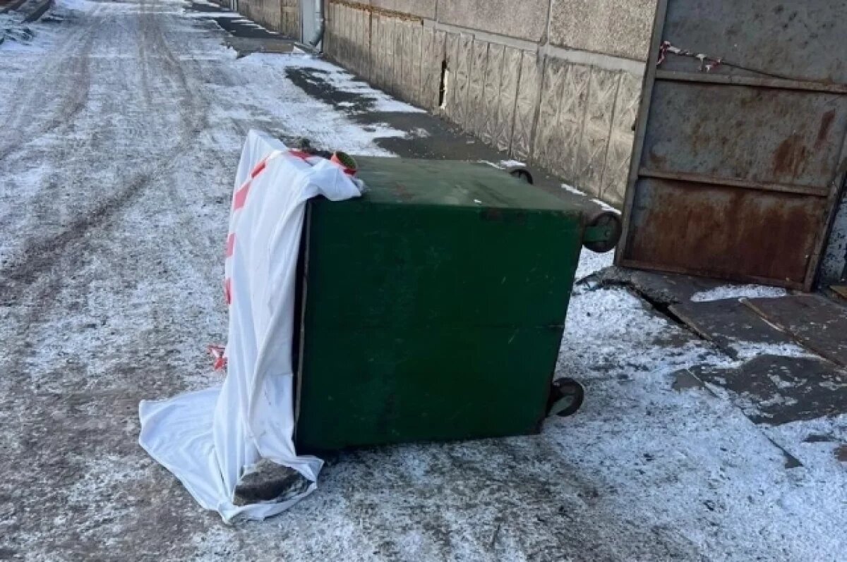    Тётя родившей и выбросившей в мусорный бак младенца рассказала о племяннице