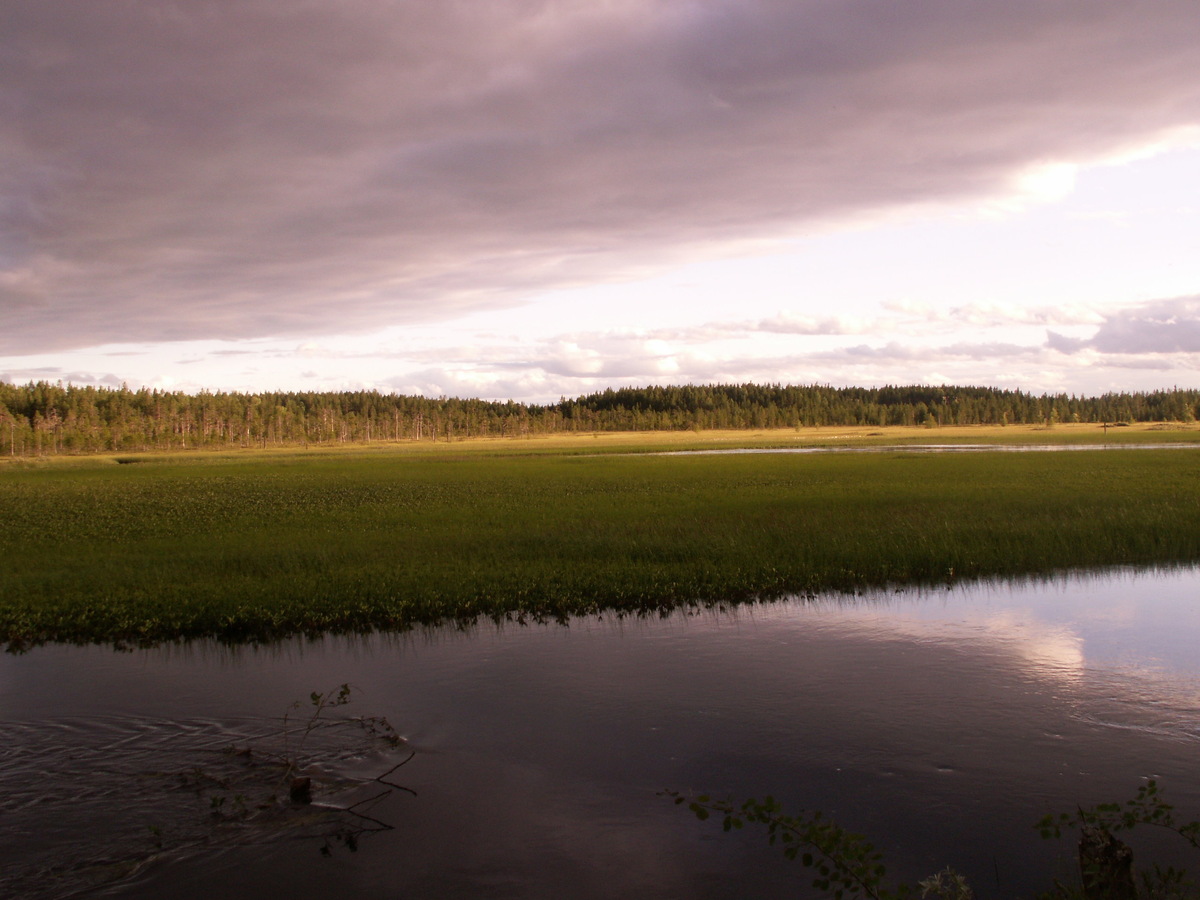 Карелия. Фото: Яндекс карты. автор: Иван Ш.