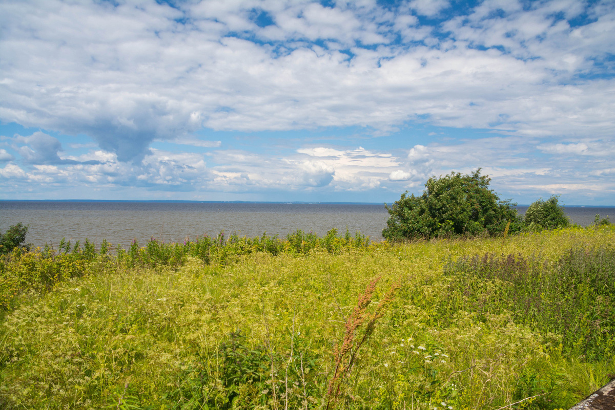 Финский залив. Фото: Яндекс карты. Автор: Мария 