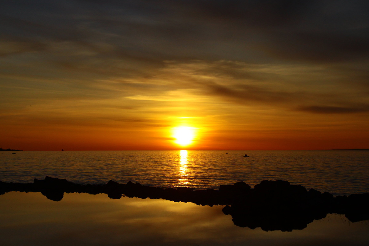 Финский залив. Фото: Яндекс карты. Автор: Александр Кучеренко