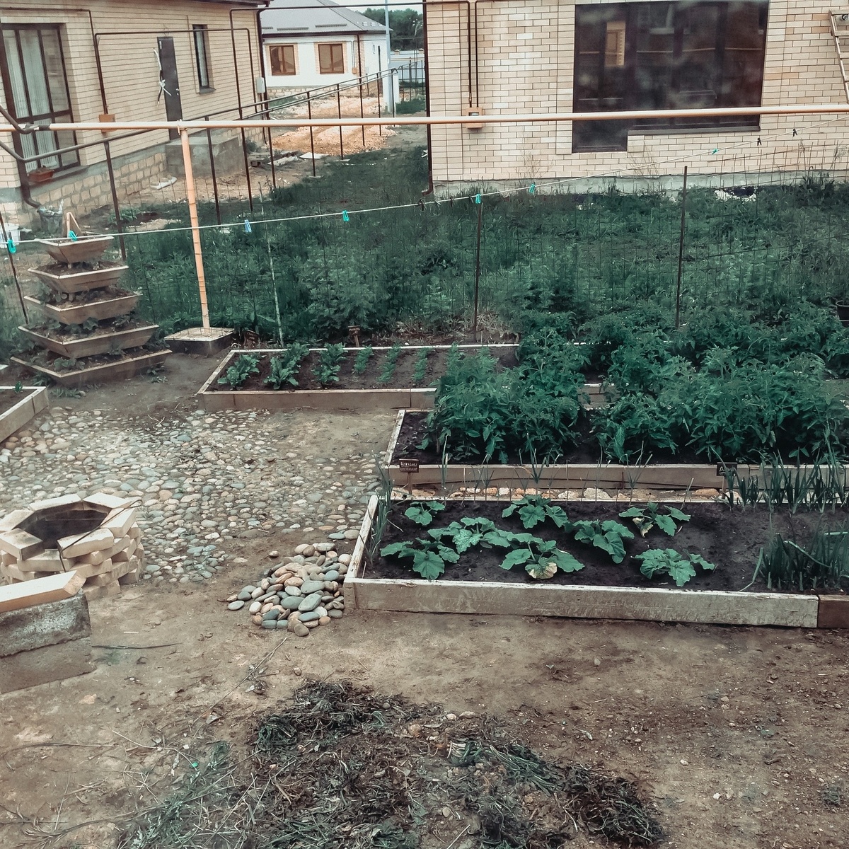 Автор фото Елена Якимова / Greenfingers