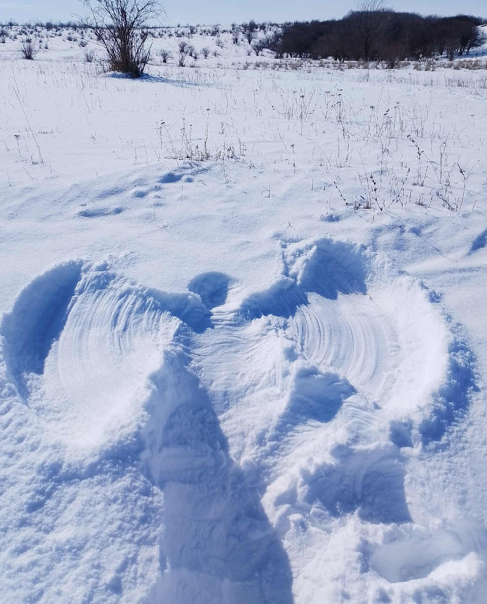 Мой ангел, мы с ним прошлой зимой по полям гуляли
