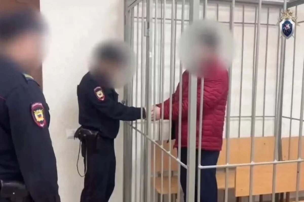    Замглавврача Псковского перинатального центра заключили под стражу