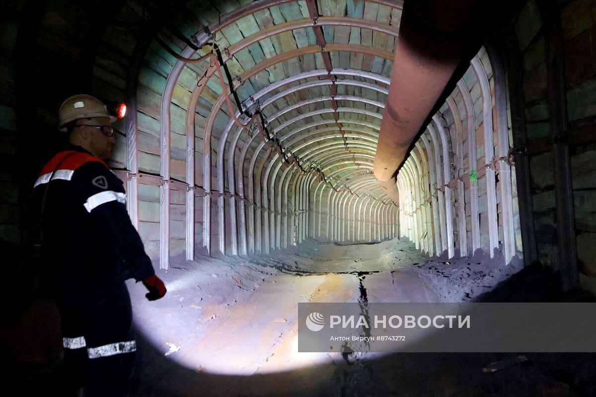     / Источник: © Антон Вергун/РИА Новости