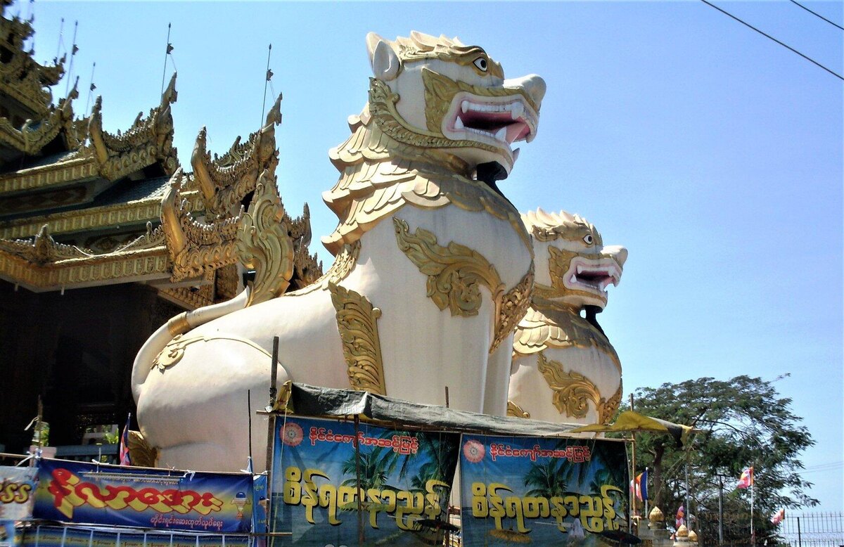 Вот они, герои моей статьи. Янгон.