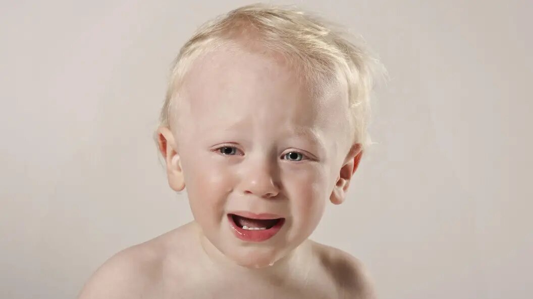    Фото: Doreen Zorn/imageBROKER.com/Globallookpress