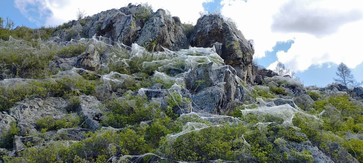 Фото: Telegram-канал «Горно-Алтайск»