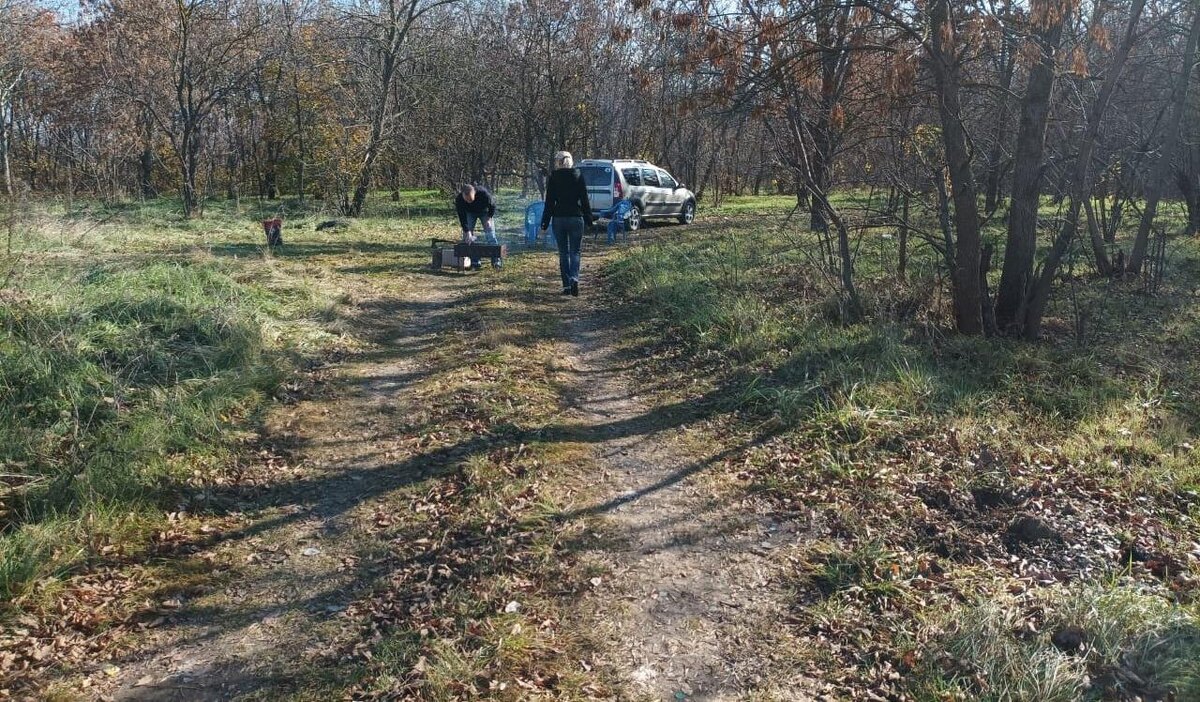 Выезжали недавно на природу! Вот такая кубанская зима!