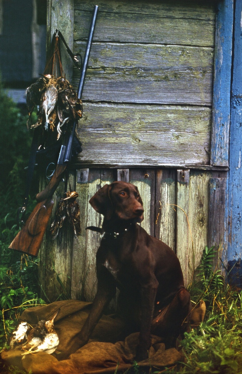 фото автора. Иж 49, калибр 161 из 3