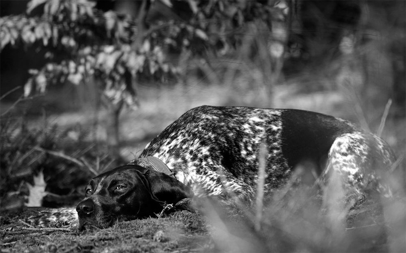 фото из архива Р.К. Баумана