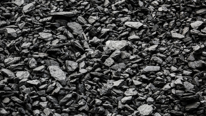    Фото: © РИА Новости/Виталий Тимкив