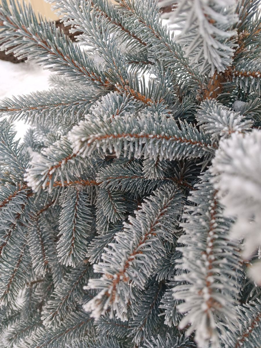 Сегодня у нас такая красота зимняя. Не могу не поделиться 🥰