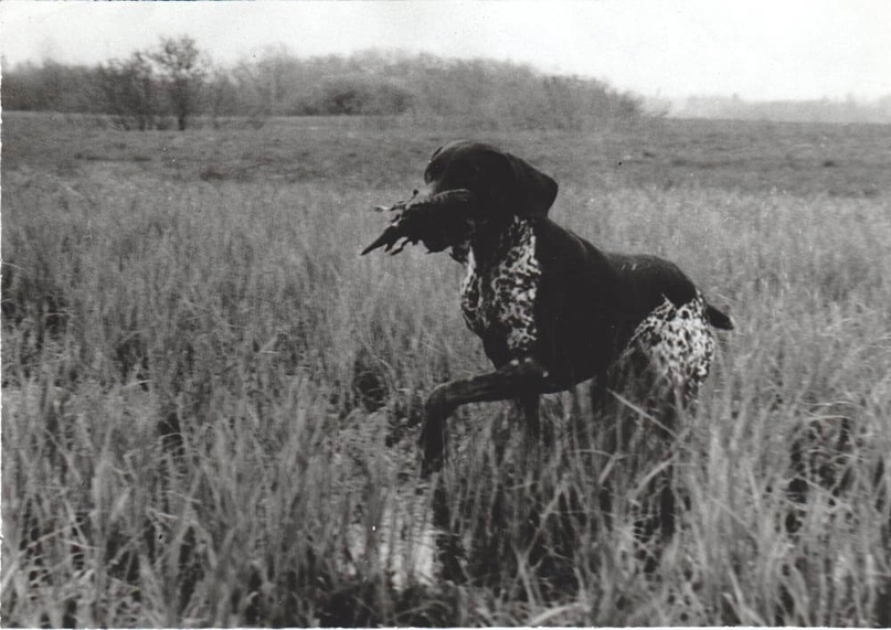 фото из архива Р.К. Баумана