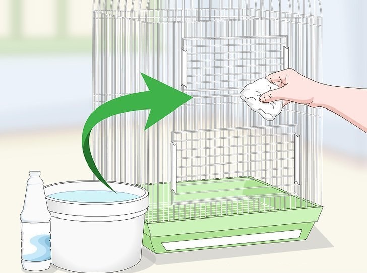 Уборка и мойка клетки