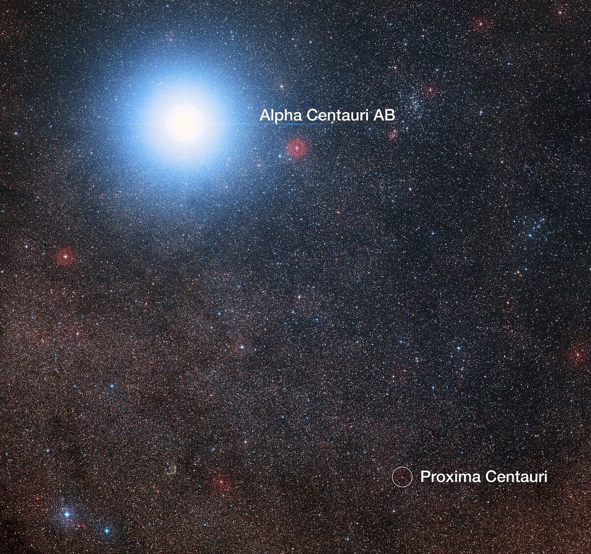 На этом снимке неба вокруг яркой звезды Альфа Центавра AB также виден более тусклый красный карлик Проксима Центавра, ближайшая к нашей Солнечной системе звезда.    
 Изображение: Digitized Sky Survey 2. Acknowledgement: Davide De Martin/Mahdi Zamani  📷
