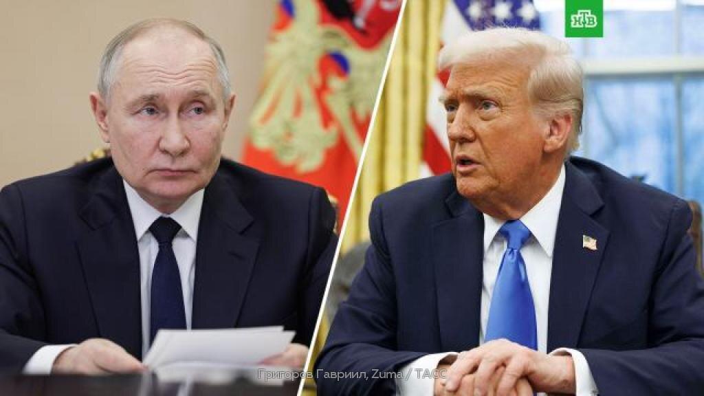    Путин и Трамп договорились немедленно начать переговоры по Украине
