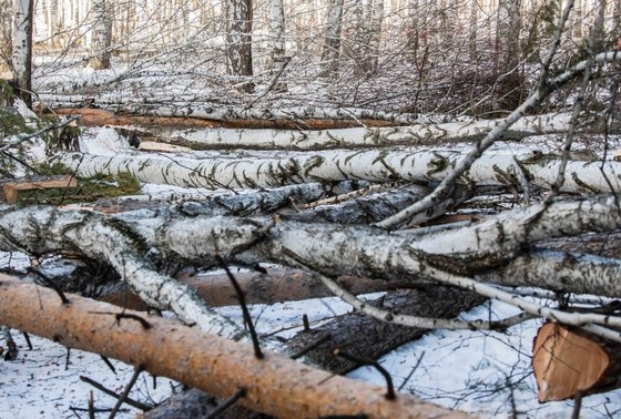    Ilya Moskovets/URA.RU/Global Look Press