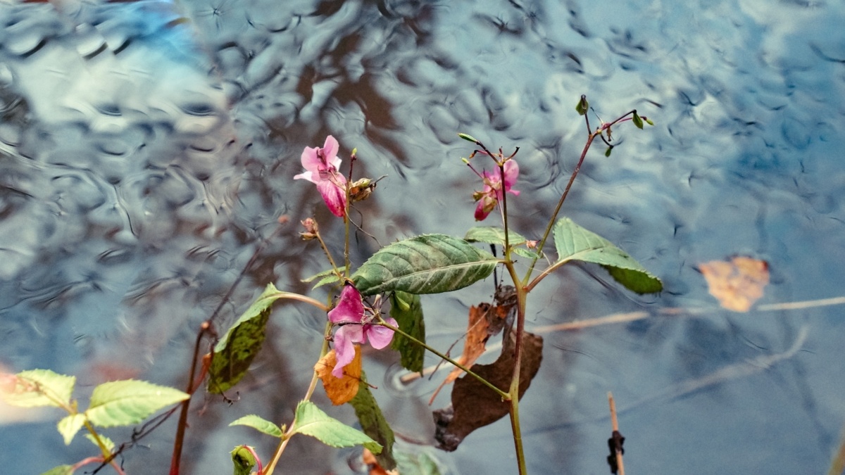 Светлана Мулыкина📷
