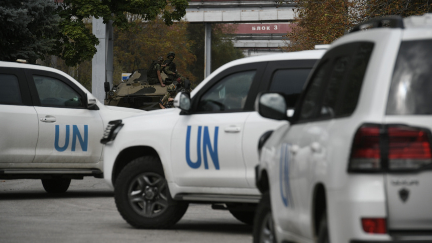    Фото: © РИА Новости/Константин Михальчевский; 5-tv.ru