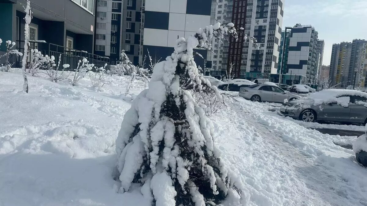     Источник: rostovgazeta.ru