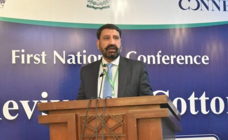    Пакистан будет возрождать хлопководство с биопестицидами