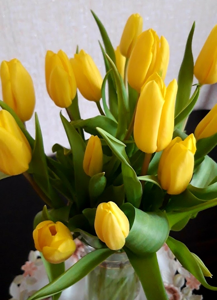 Фотография автора 