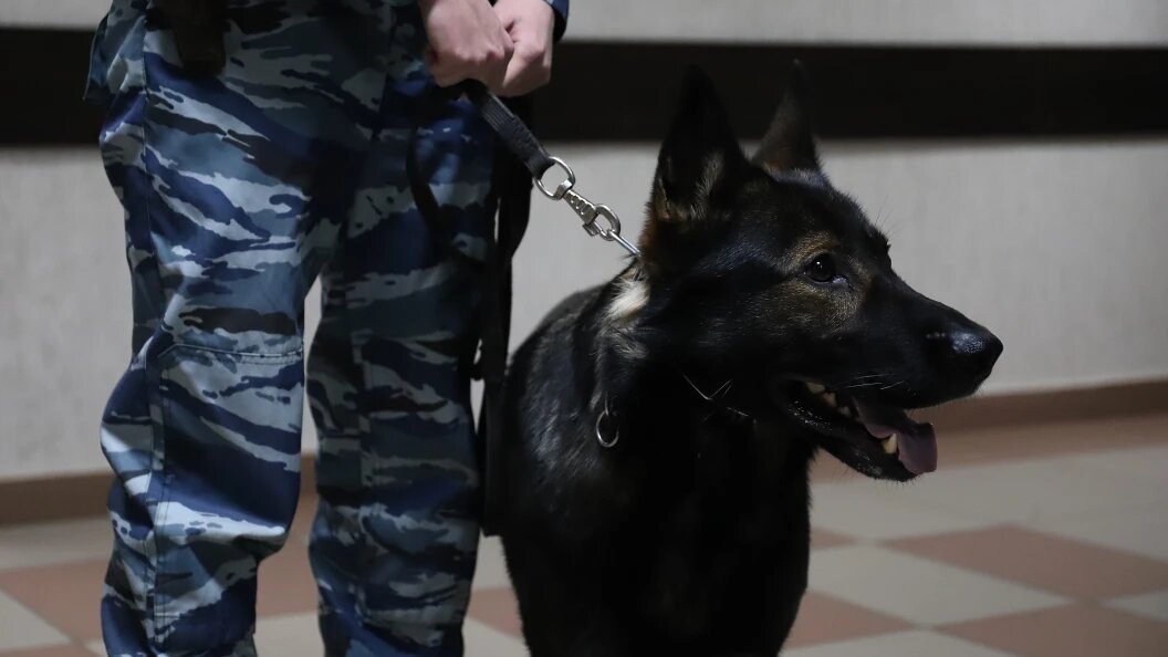    Razmik Zackaryan/Globallookpress