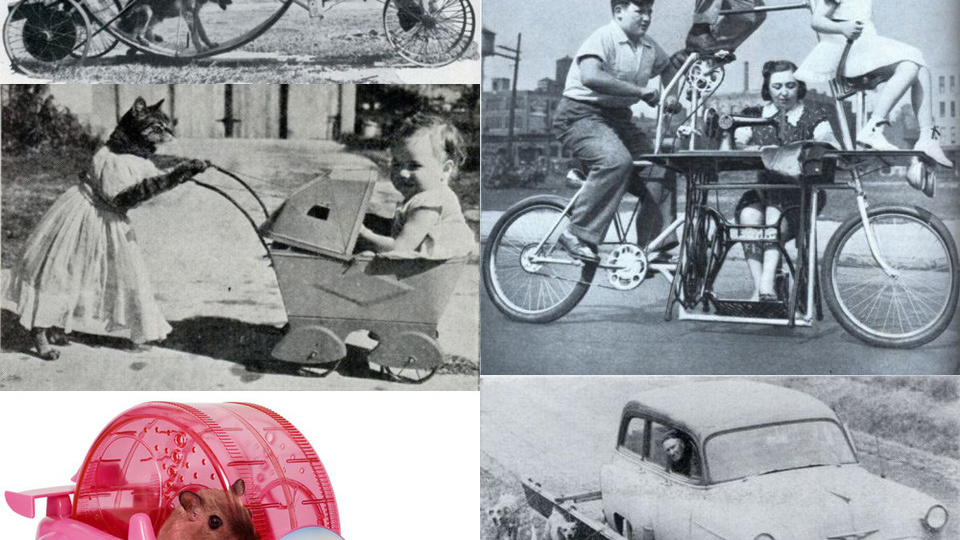 Авто с собачьим приводом и велосипед со швейной машинкой: самые странные изобретения