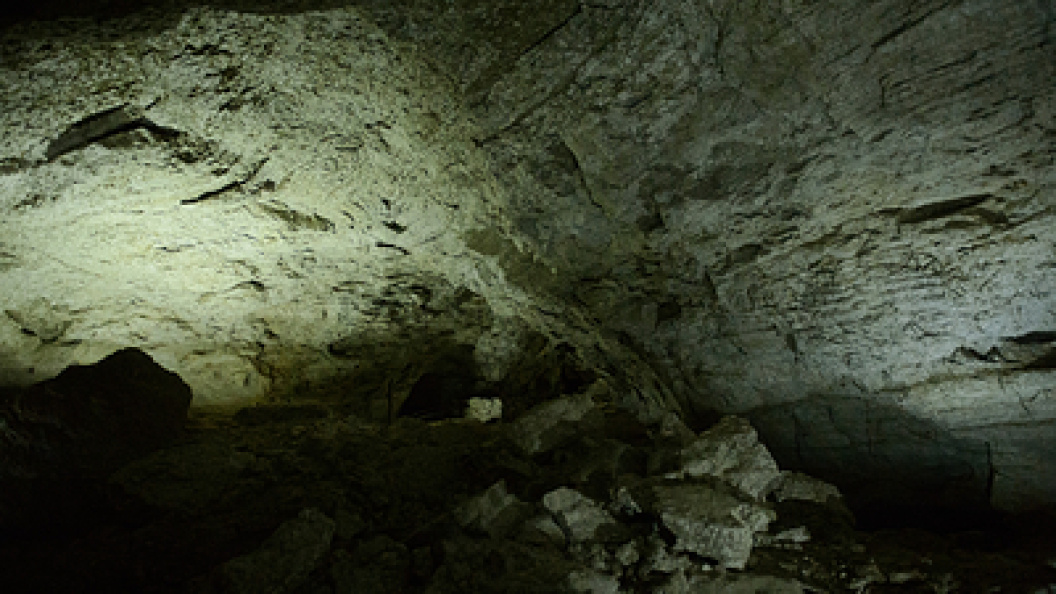    Dmitry Chasovitin/Globallookpress