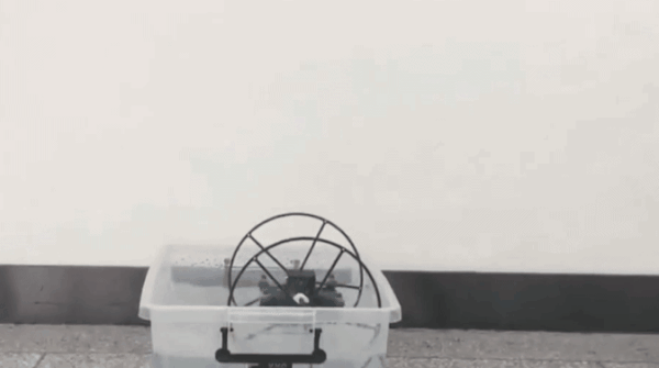     Источник: CCTV News