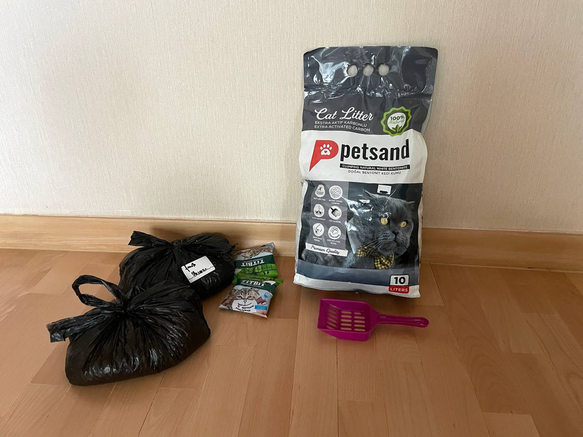 Сразу же заказала корм, наполнитель. Лоток с миской и переноской дала тетя Анны