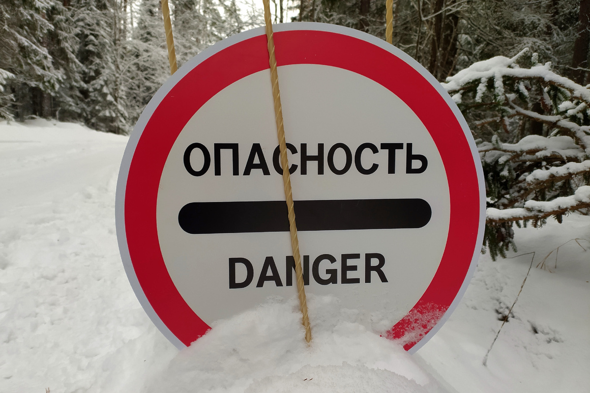 Фото: Globallookpress. 